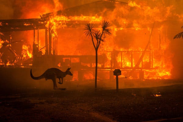 δωρεές των star για τις πυρκαγιές στην Αυστραλία